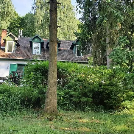 Auberge de jeunesse Fehérkőlápa Panzió