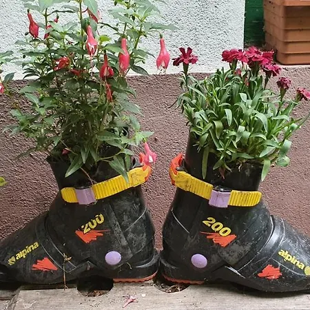 Feherkolapa Turistahaz Panzio Hostel Lillafured