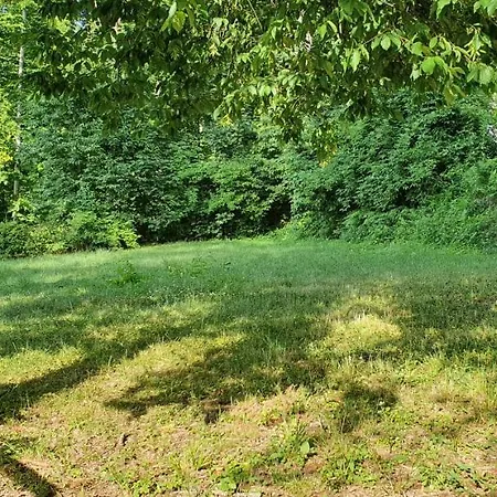 Fehérkőlápa Panzió Auberge de jeunesse *