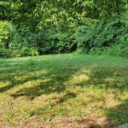 Fehérkőlápa Panzió Auberge de jeunesse *