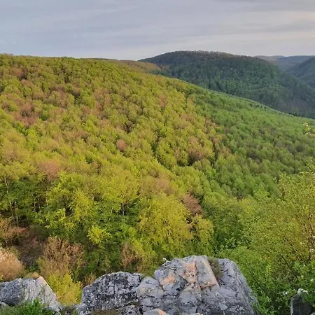 Fehérkőlápa Panzió Ostello
