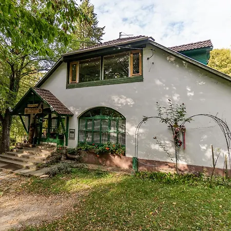 Fehérkőlápa Panzió *