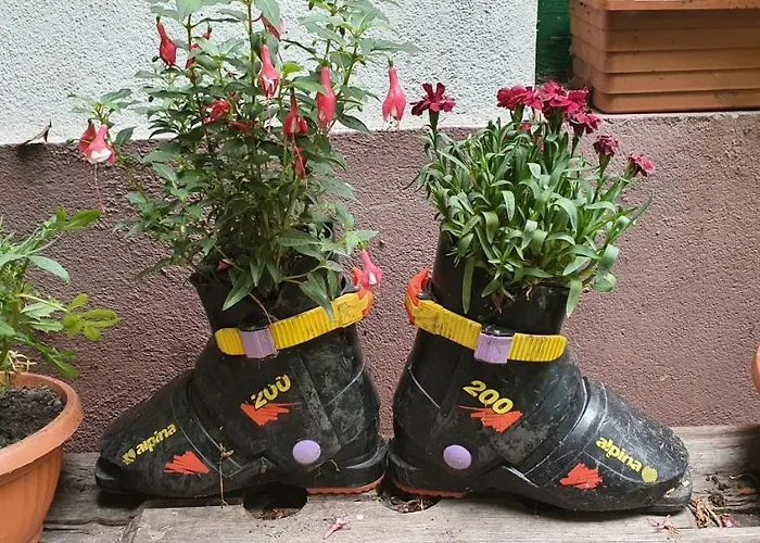 Feherkolapa Turistahaz Panzio Hostel Lillafured