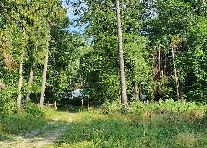 Feherkolapa Turistahaz Panzio
